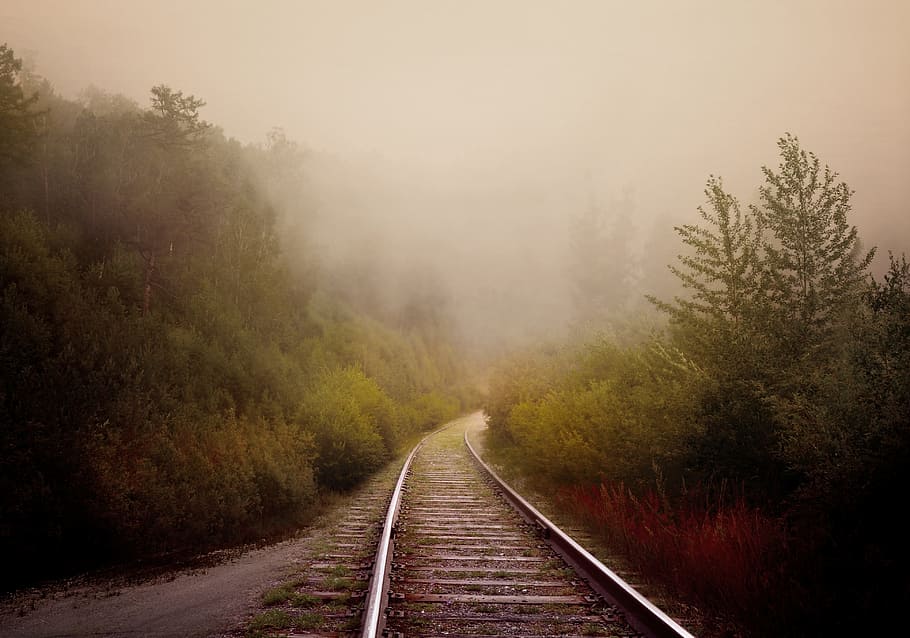 gray, rail road, center, green, trees, fog, road, rail, forest, mist