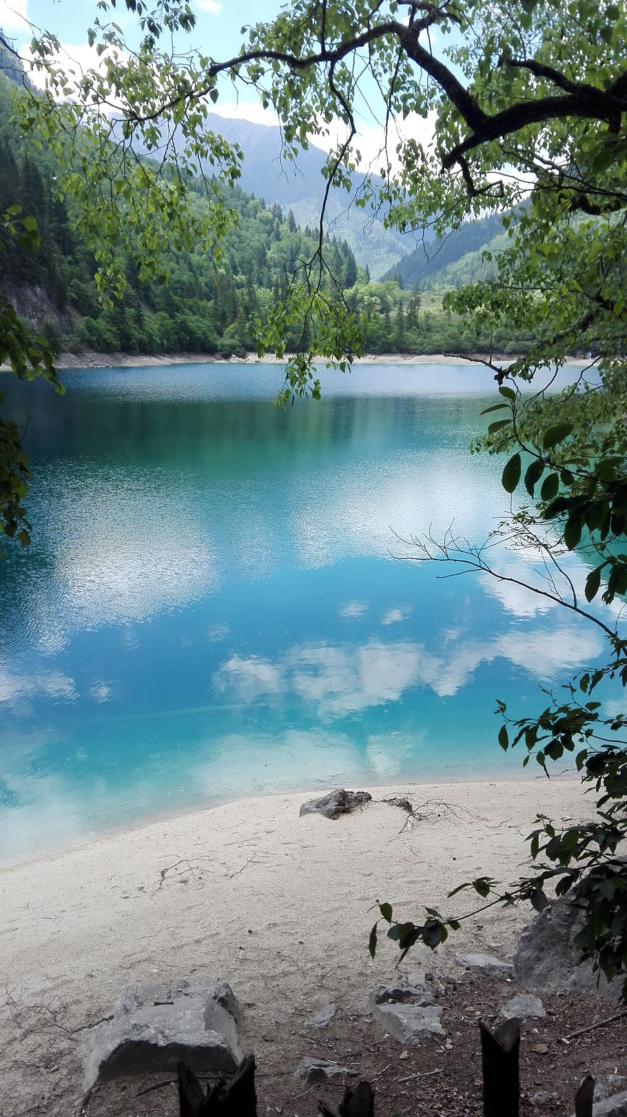jiuzhaigou, sichuan, lake, water, tree, beauty in nature, tranquility, plant, tranquil scene, scenics - nature