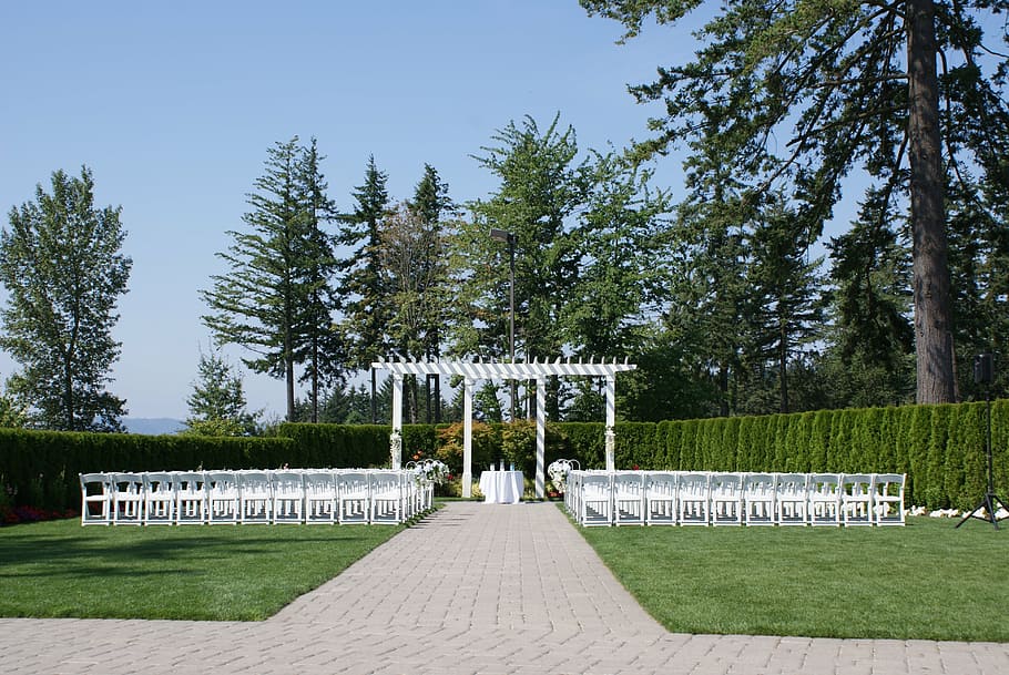 wedding, marriage, love, outdoor wedding, alter, tree, plant, green color, day, nature