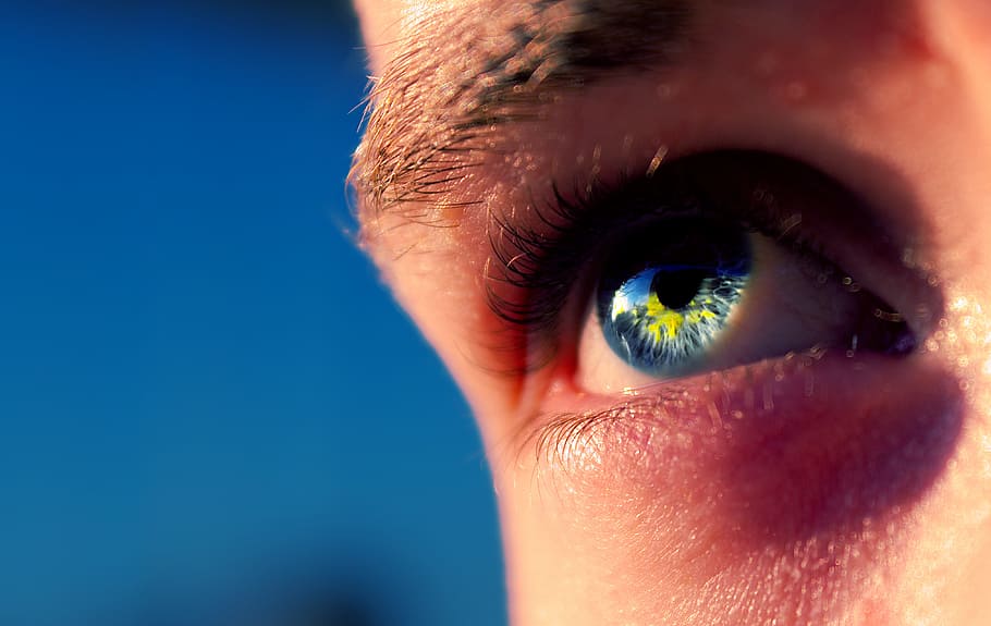 person's right eye, eye, blue, macro, sun, yellow, human, person, close, view