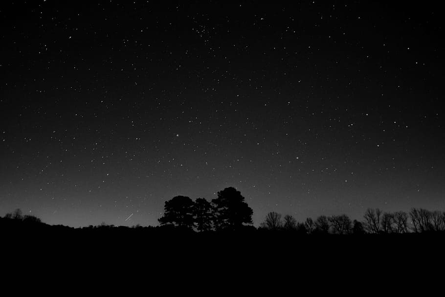 silhouette of trees, nature, silhouette, night, sky, stars, shooting star, trees, black and white, astronomy