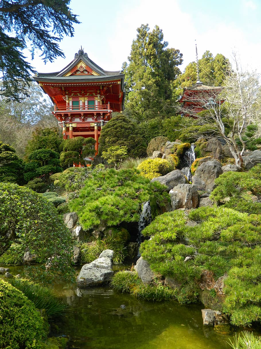 japonês, arquitetura, templo, japão, cultura, ásia, ponto de referência, paisagem, santuário, zen