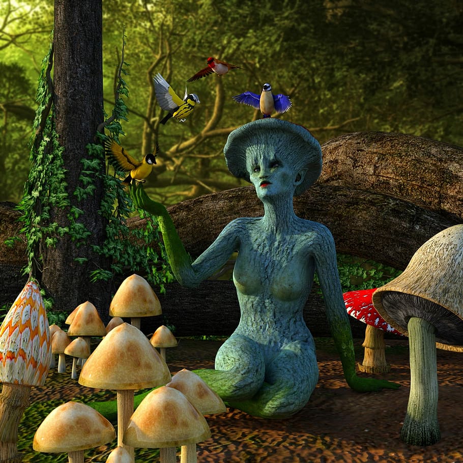 birds, perched, woman statue, mushrooms, fantasy creatures, fairy tales, forest, woman, moss, mushroom picking