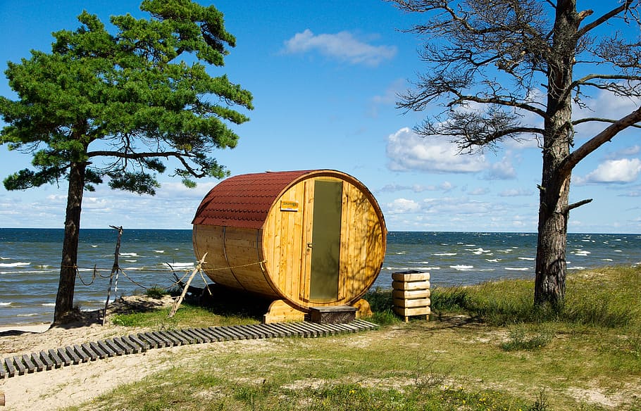 marrom, de madeira, casa com tema de barril, árvore, letônia, mar báltico, sauna, natureza selvagem, agua, plantar