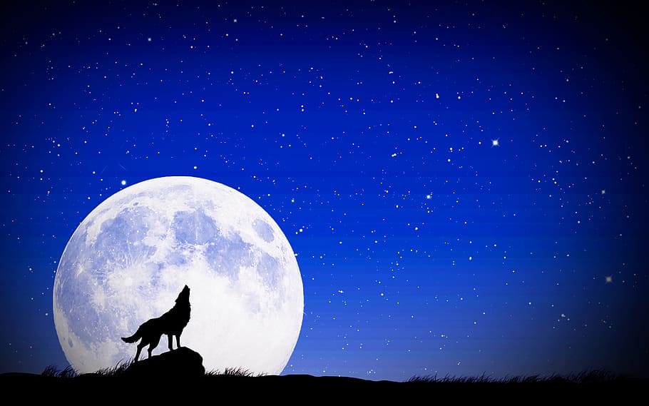 black, wolf, standing, rock, full, moon, digital, wallpaper, astronomy, outer space