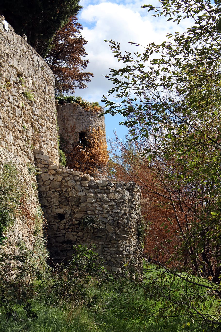 torre, history, monument, architecture, castle, landscape, middle ages, historian, plant, tree