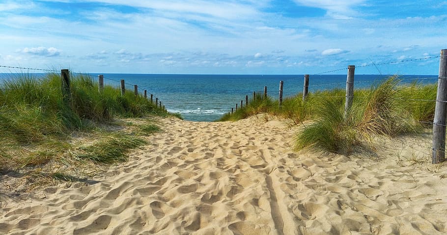 landscape photography, sand pathway, sand, pathway, sea, dunes, dune grass, north sea, beach, summer