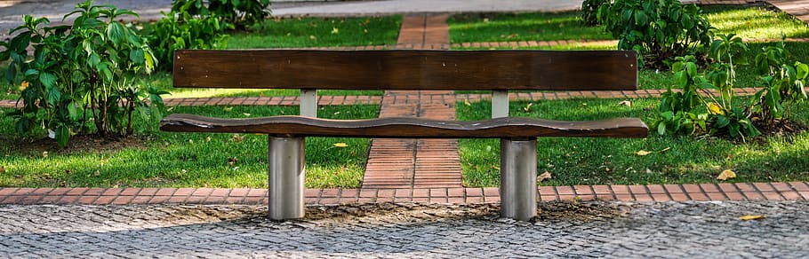 bench, wooden, seat, park, town park, city park, greenery, bushes, nature, outside