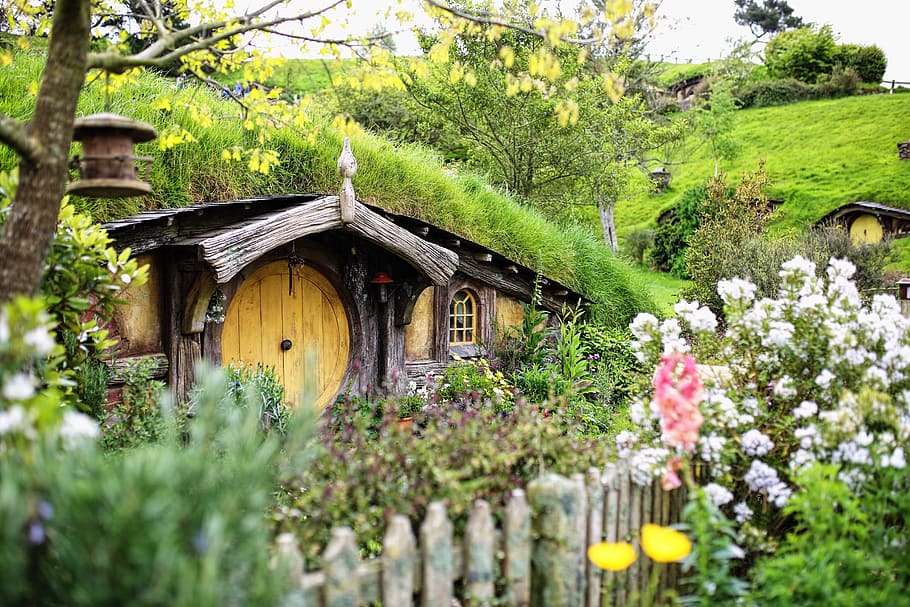 hobbit house wallpaper, nueva zelanda, ring shot, el hobby, la comarca, matamata, planta, estructura construida, arquitectura, árbol
