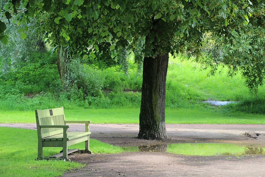 empty, bench, tree, park bench, park, rest, trees, finland, helsinki, sit