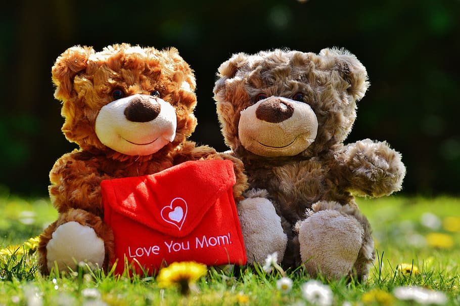 two, brown, bear, plush, toys, teddy, mother's day, love, mama, greeting card