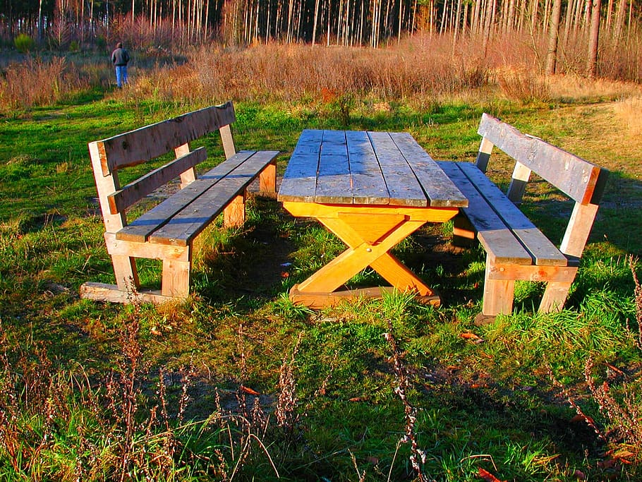bank, table, benches, picnic, seat, resting place, rest, romantic, plant, land