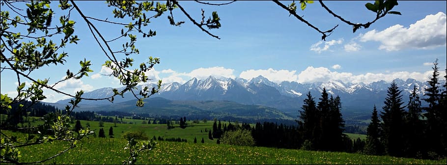 montañas, tatry, los altos tatras, paisaje, naturaleza, árbol, montaña, planta, pintorescos - naturaleza, cordillera