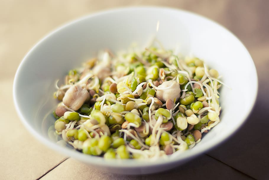 soybeans, sprouts, food, healthy, bowl, food and drink, healthy eating, wellbeing, freshness, vegetable