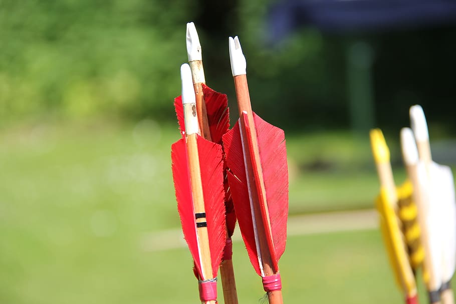 sport, archery, target, arch, arrow, middle, objectives, without fail, shooting sports, leisure