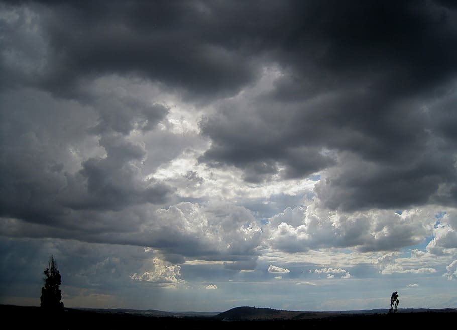 иллюстрация облачных облаков, облака, пасмурно, тяжелый, плотный, зловещий, освещение, дерево, небо, облако - небо