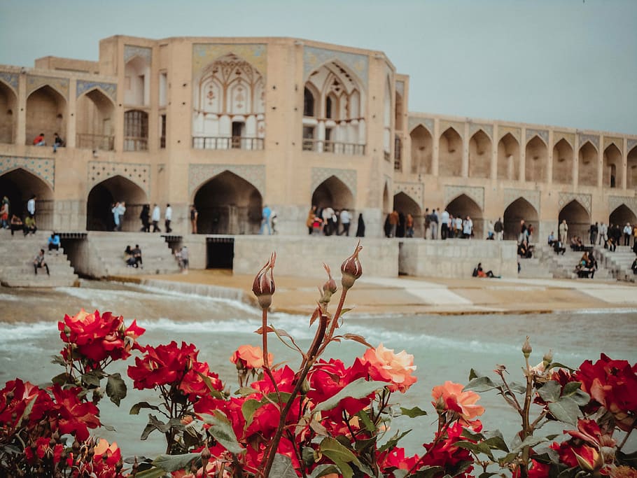 people, gathered, concrete, palace, isfahan, river, iran, built structure, architecture, flower