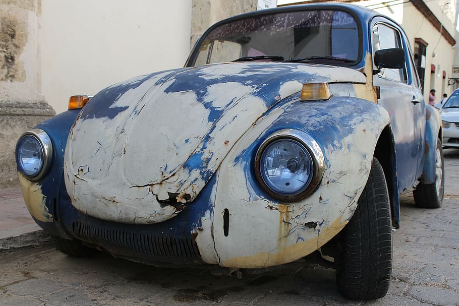 beetle, auto, vw beetle, oldtimer, vw, volkswagen, rusted, car, old, obsolete