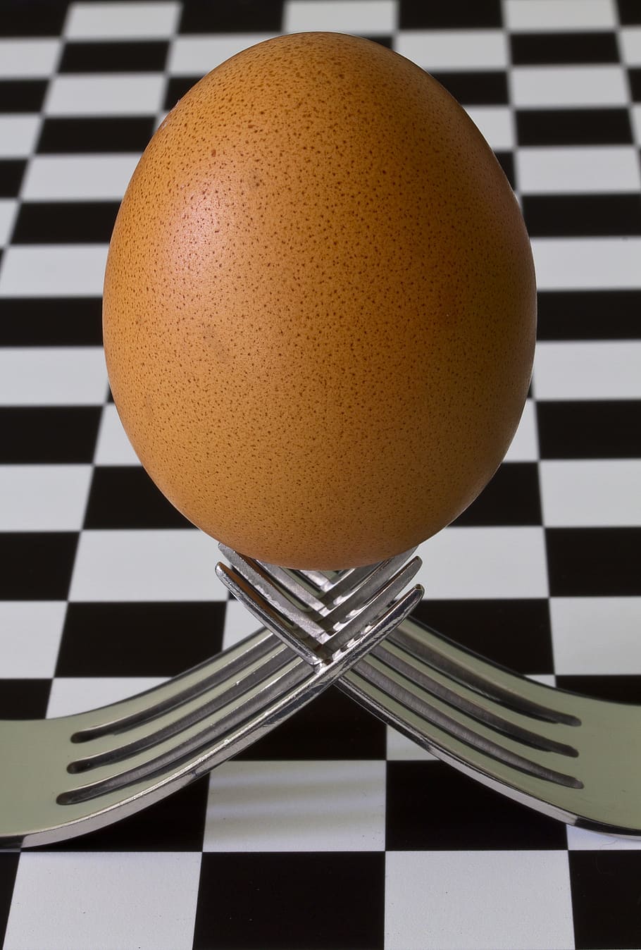 still, items, things, forks, egg, balance, equilibrium, checkered, table, photography