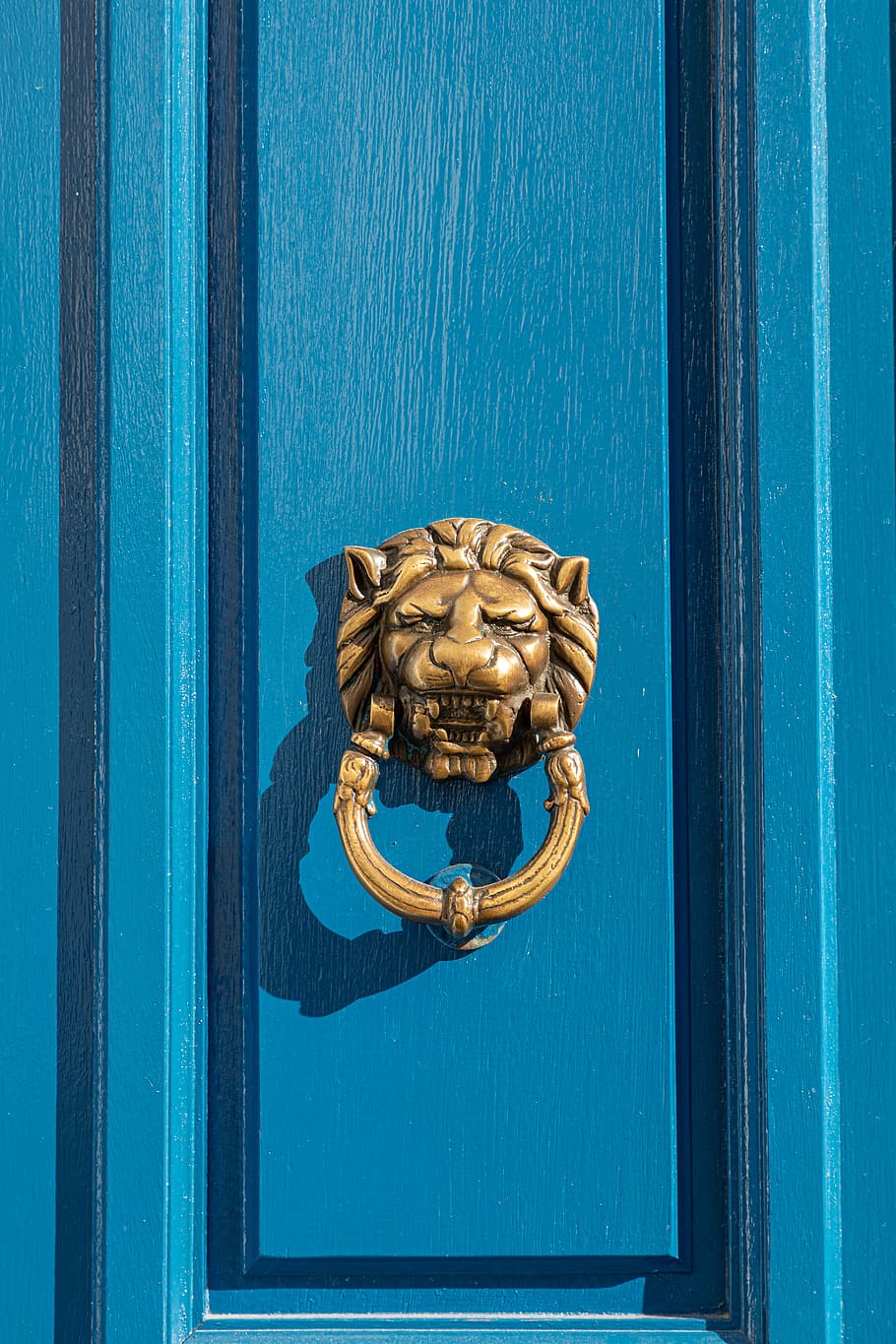 doorknob, lion, door, blue, gold, brass, entrance, head, handle, architecture