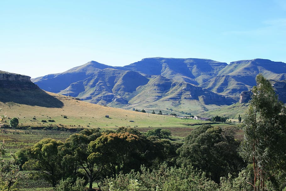 drakensberg mountains, mountain range, landscape, clear sky, scenery, nature, trees, green, veld, mountain