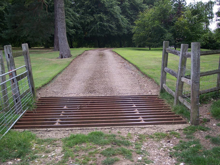 cattle grid, countryside, north downs, kent, sittingbourne, country, park, grass, gate, farm