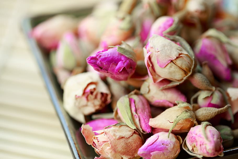 pink, roses selective-focus photo, rosebud, rose, dried, flower, dry, tea, herbal, petal
