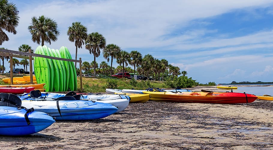 kayak, surf, playa, barcos, recreación, palmeras, vacaciones, caribe, tampa, florida