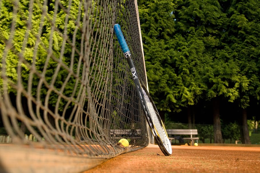 tennis, rocket, ball, clay, network, sport, courts, plant, tree, day