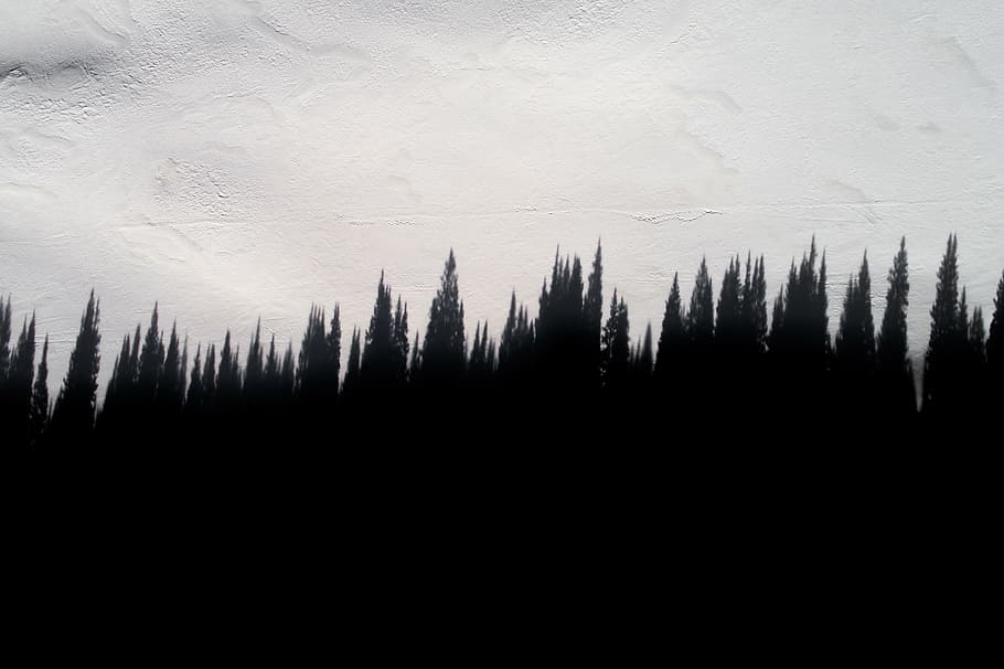 silhouette, pine trees, grey, sky, pine, trees, plants, outdoor, snow, winter