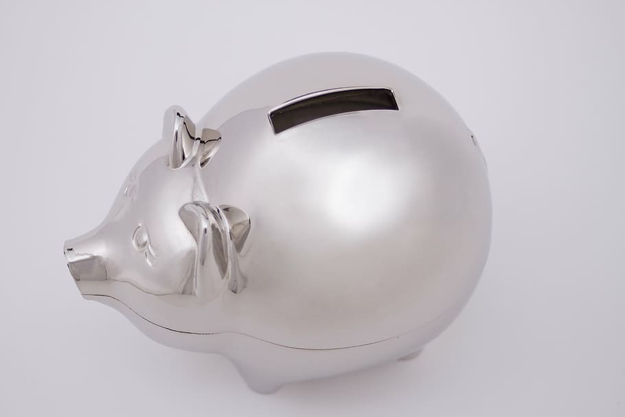 silver-colored piggy bank, save, money, finance, coin, saving, dollar, piggybank, bank, wealth
