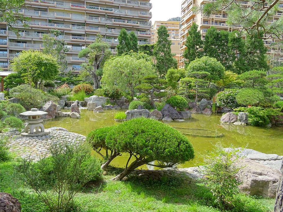 Mônaco, jardim japonês, corpo de água, árvores, planta, arquitetura, estrutura construída, árvore, exterior do edifício, crescimento