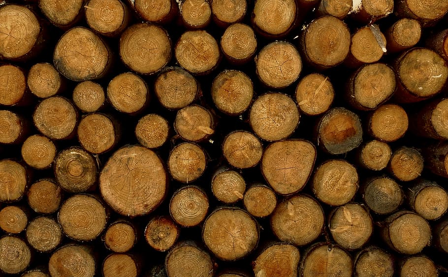 wood, strains, tree, log, full frame, backgrounds, large group of objects, stack, firewood, timber