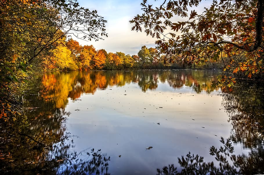 湖, 囲まれた, 木, 昼間, 秋, 葉, 自然, 季節, 色, 10月