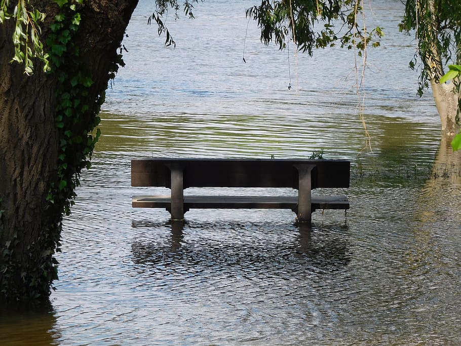 bangku, sungai, banjir, air, alam, danau, pohon, tepi laut, tidak ada orang, kursi