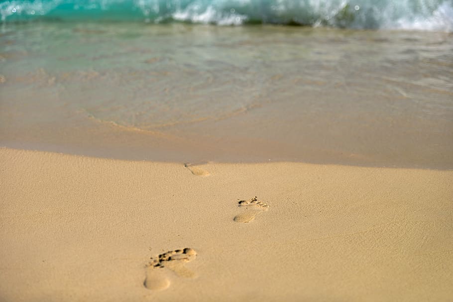 footsteps, going, body, water, footprints, sand, beach, wet, steps, feet