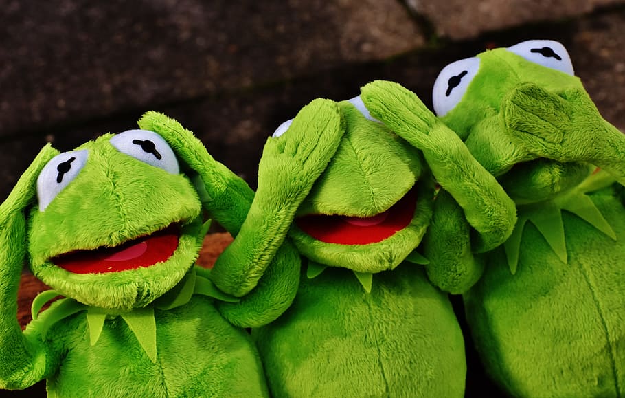 듣지 말고, 보지 말다, 웃다, 커밋, 개구리, 귀엽다, 재미, 녹색, 봉제 인형, 부드러운 장난감