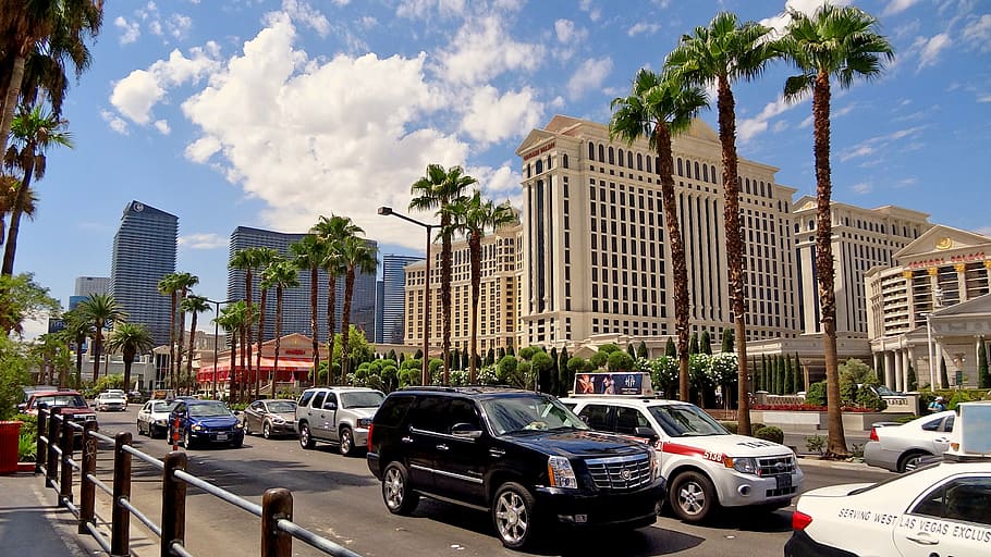 las vegas, america, united states, places of interest, uSA, car, palm Tree, street, architecture, las Vegas - Nevada