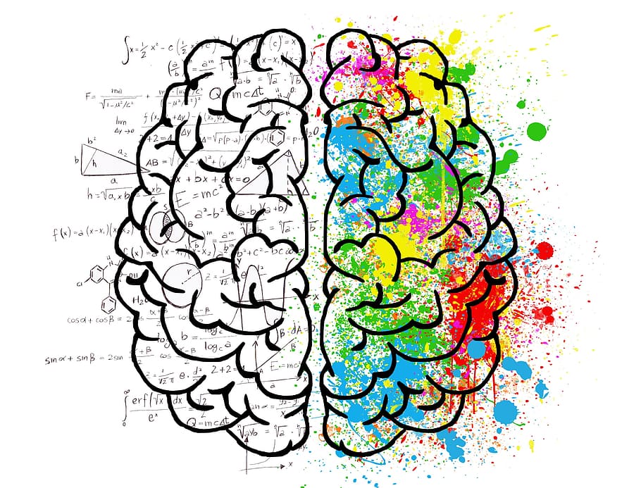 multicolored brain illustration, multicolored, brain, illustration, mind, psychology, idea, hearts, love, drawing