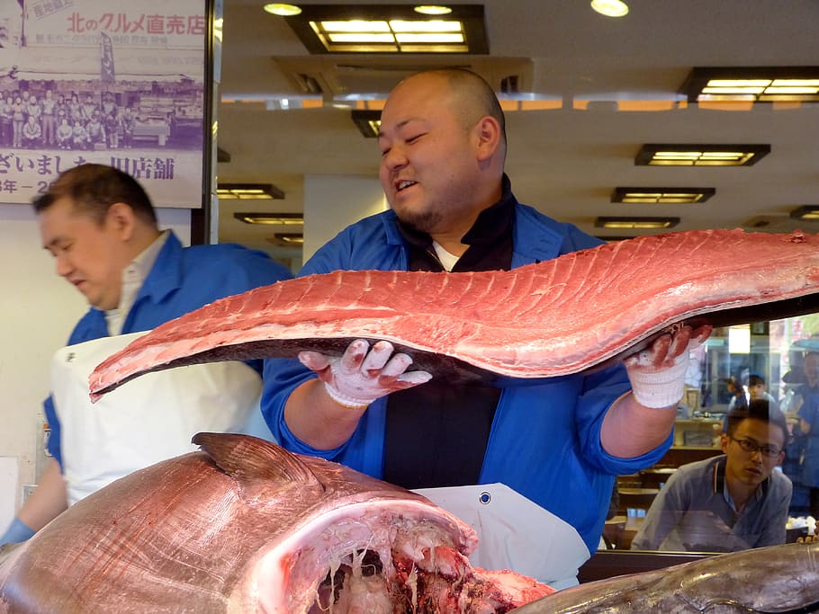japanese, tuna fish, sushi, sashimi, man, raw, fresh, wholesales centre, seafoods, food
