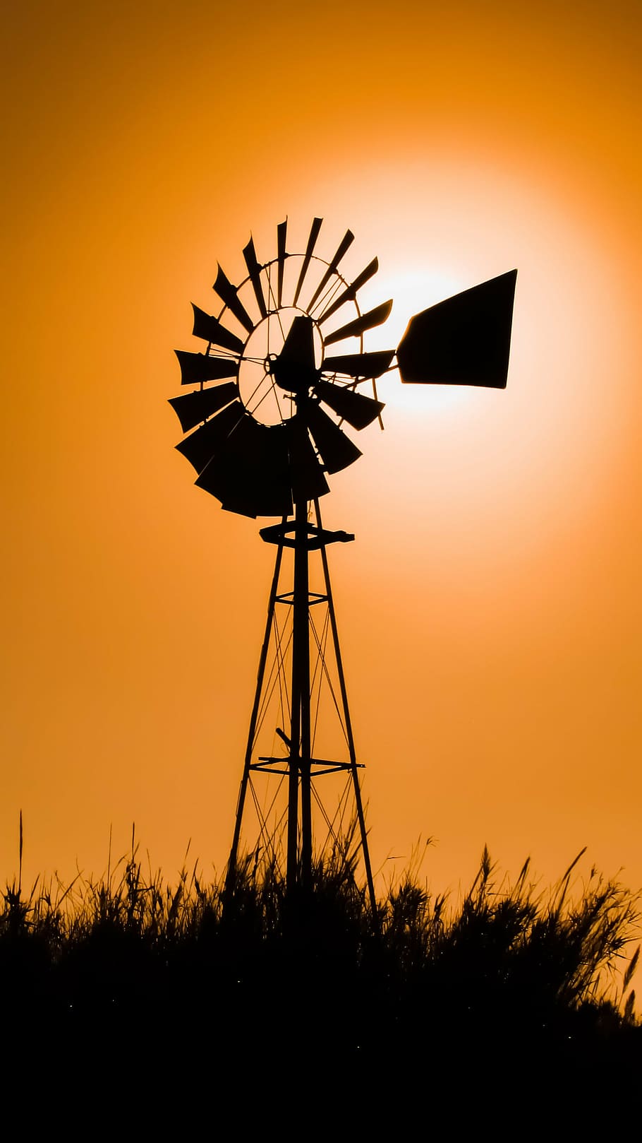 windmill, sun, sunlight, afternoon, reeds, shadows, environmental conservation, alternative energy, sunset, renewable energy
