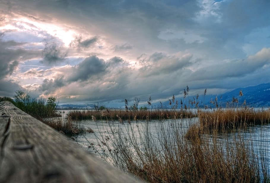 lake, cloudy, sky, reeds, greece, scenery, water, afternoon, cloud - sky, plant