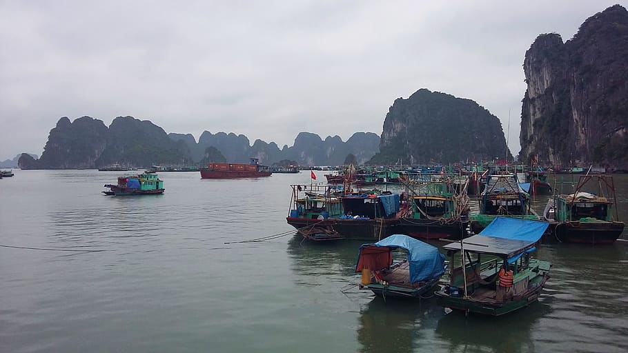 Halong Bay, Vietnam, Limestone, Boats, nautical Vessel, asia, travel, cultures, transportation, water