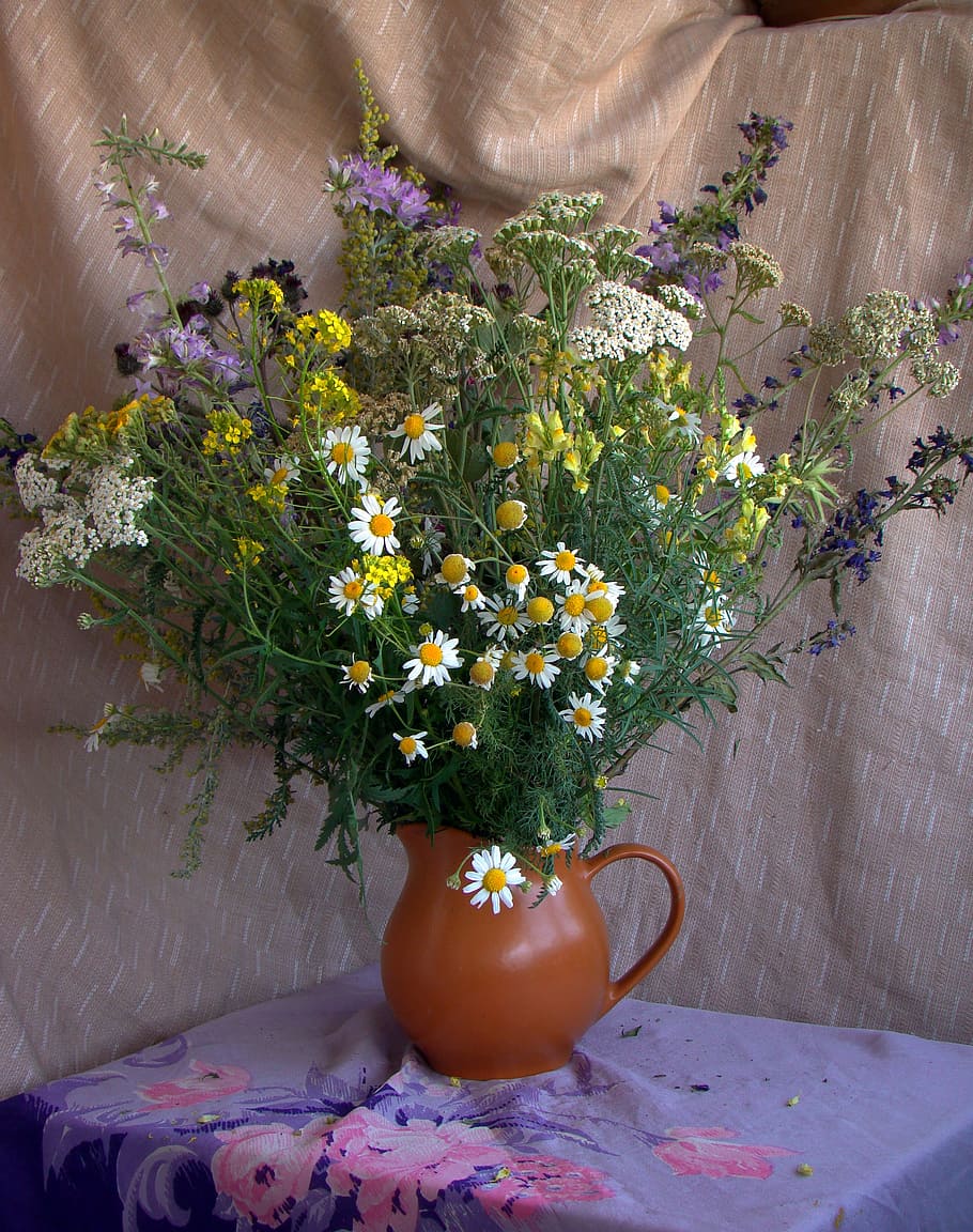 assorted, flowers, brown, ceramic, pitcher plant pot, bouquet, pitcher, still life, art direction, chamomile