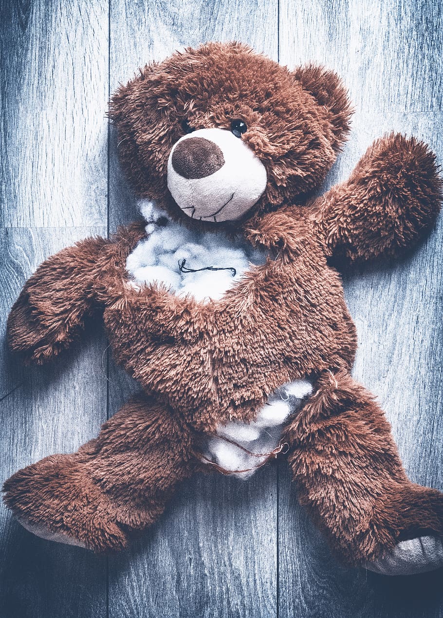 abuse, violence, problems, alcohol, aggression, drugs, domestic, ripped, child, teddy bear