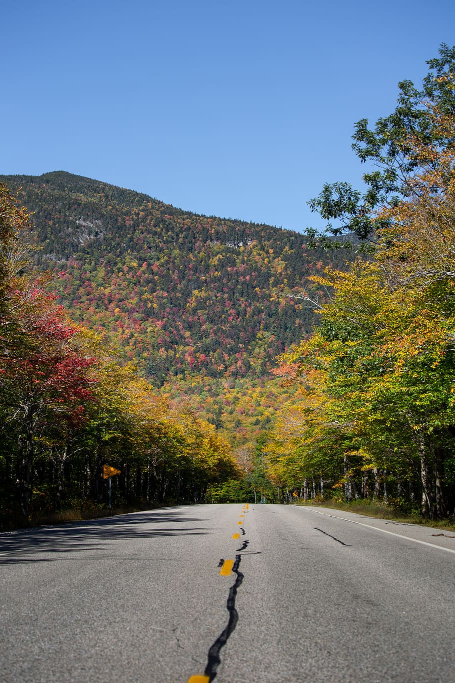 otoño, follaje, carretera, montaña, viajes, escénico, viaje, bosque, colorido, cielo
