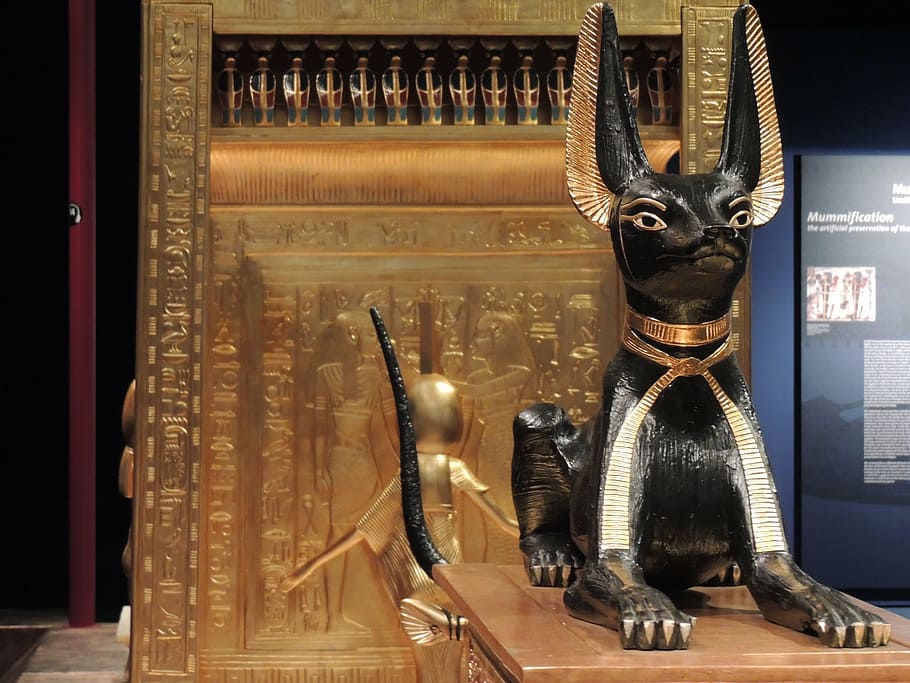 black, sphinx cat st atue, egypt, sacred, cat, memorial, animal, statue, indoors, sculpture
