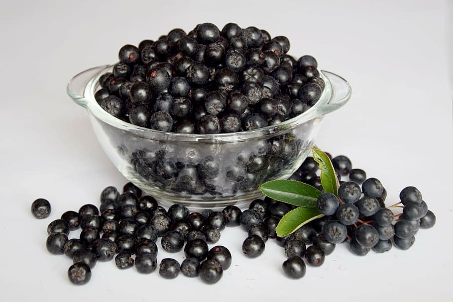 bunch, blueberries, bowl, aronia, fruit, natural food, food, kitchen, vitamins, freshness