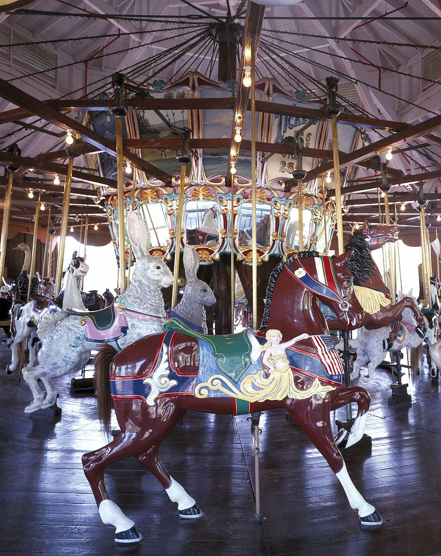Carousel, Horses, Amusement, Park, amusement, park, carnival, fun, ride, entertainment, merry-go-round