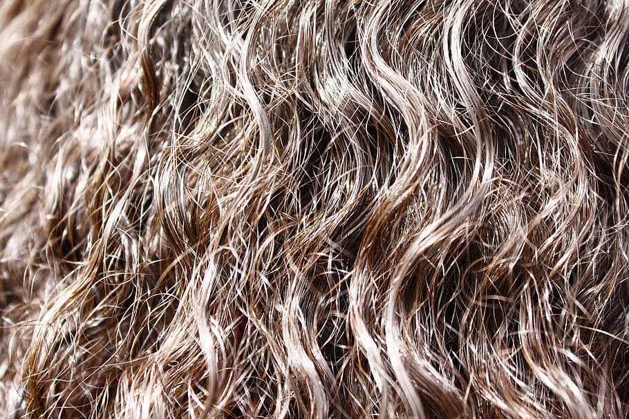 cabello castaño de la persona, cabello, rizado, ondulado, mujeres, fondos, fotograma completo, sin gente, primer plano, patrón